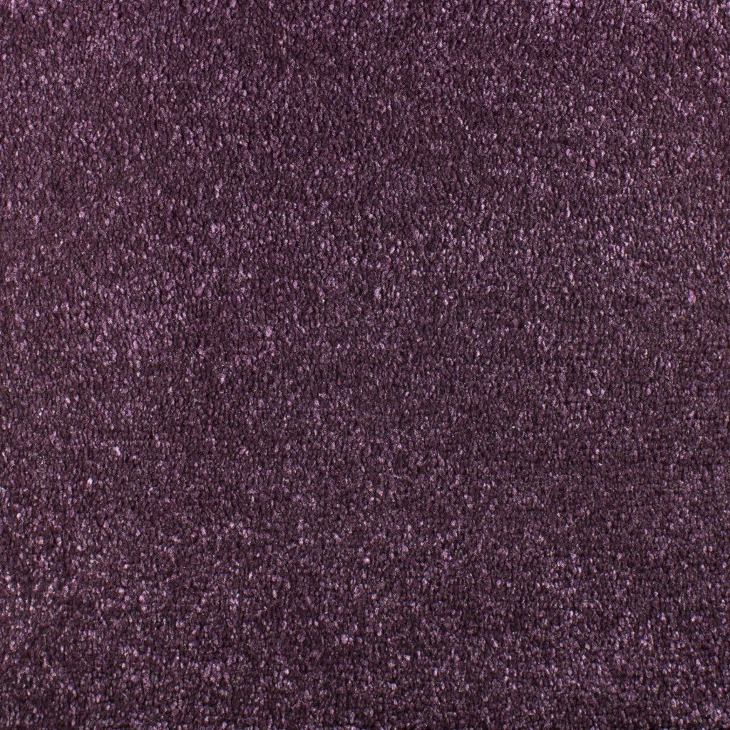 Purple Carpet Tapi Carpets & Flooring